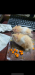 Hamsters